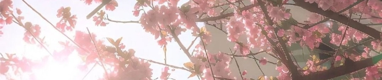 кошькодефк