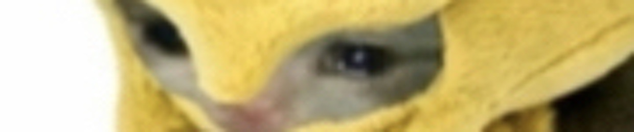 ArmieWarmie