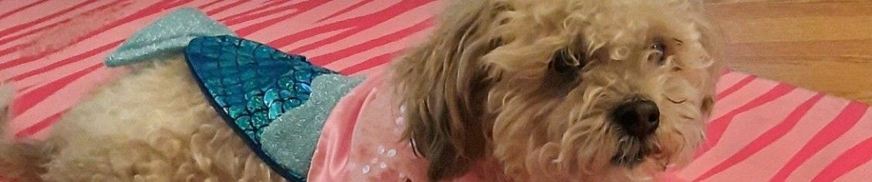KC♡