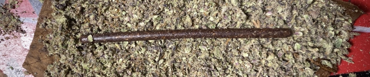 YOZIHAZE