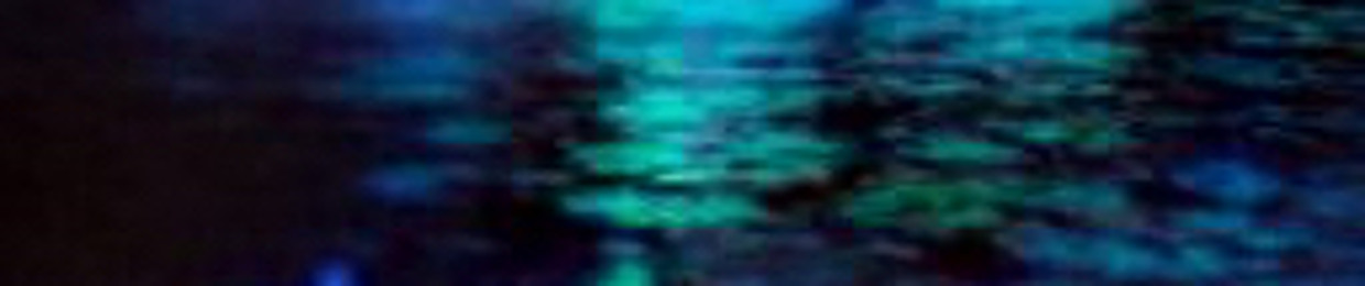 nolimbic