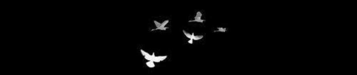 Hafsa_helween