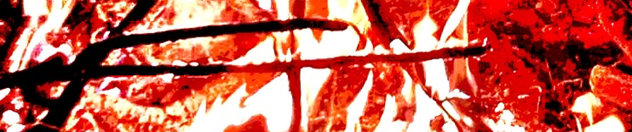 who is tsuki kaneki?