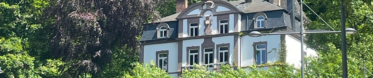 Bolleke