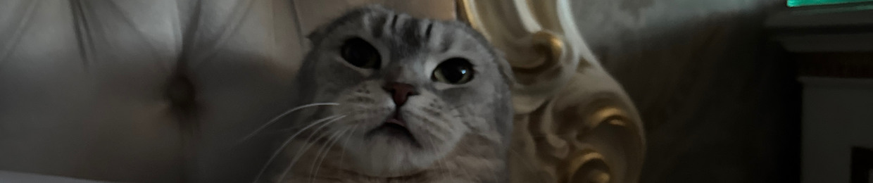 gekori
