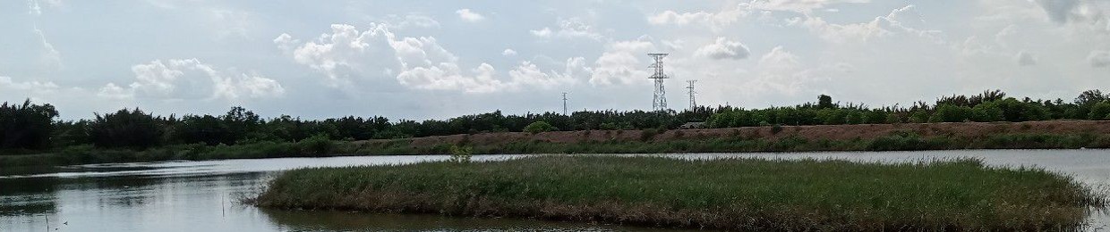 Huy thik quẩy