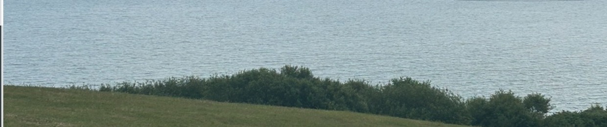 🇱🇹Blobbie!🏴󠁧󠁢󠁥󠁮󠁧󠁿