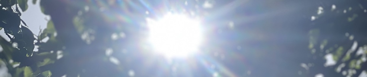 Navidraavi
