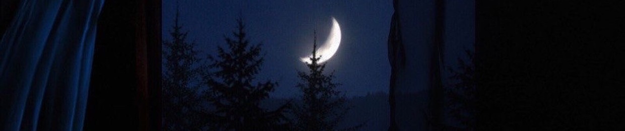 MidnightEyes