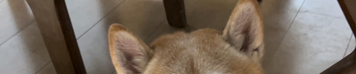 Chito