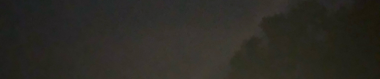 AmityGrey