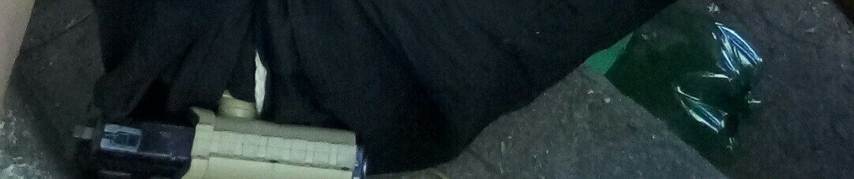 CV Pivete 🐻✌🏻🚩