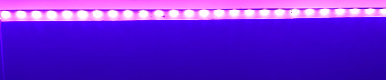 LOLITA