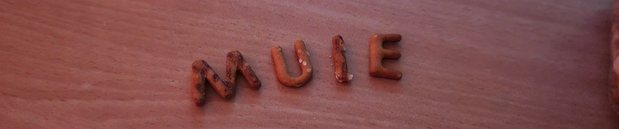 Dumitru Cristian Catalin