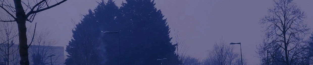 Ed.
