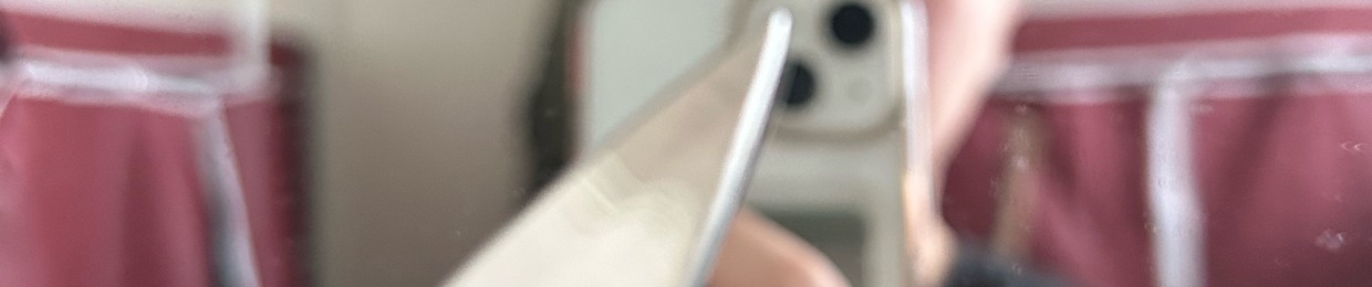 천천동노상강도,해적,성격장애자,칼싸움의달인,붉은귀거북,토쿠투칸,갈매기급조류,피부호흡,예언가