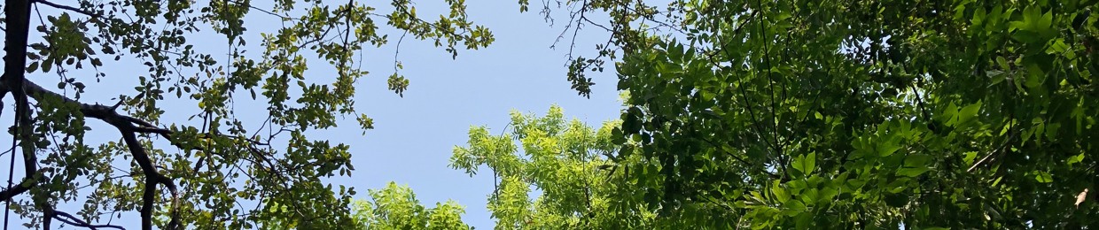 Harman