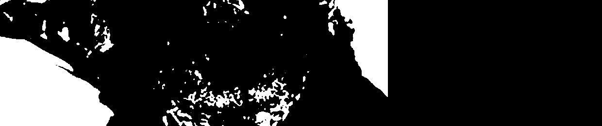 Human Stain