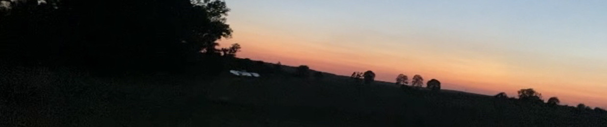Night Flight
