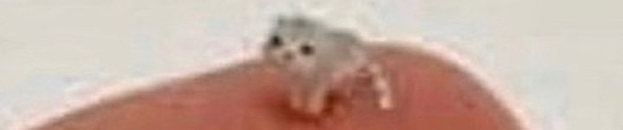 teeceetu