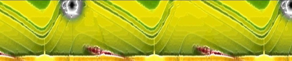 Hyper Imunovarianne