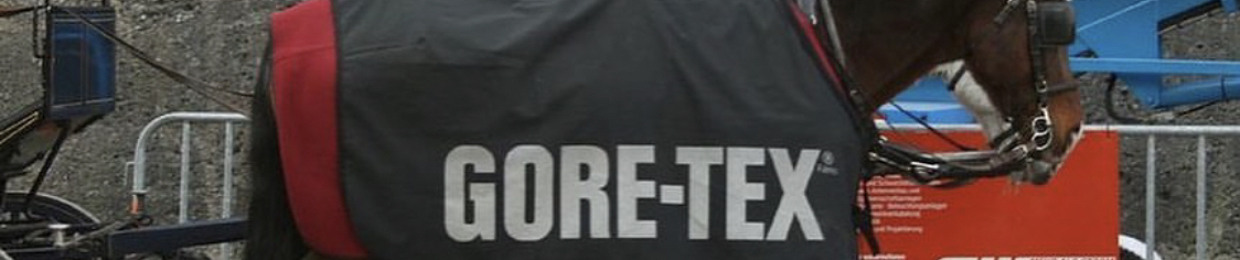 DJ Goretekks