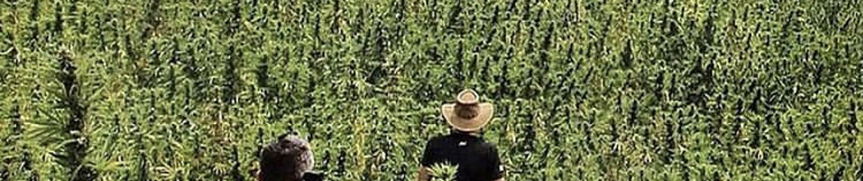 whereisthebud