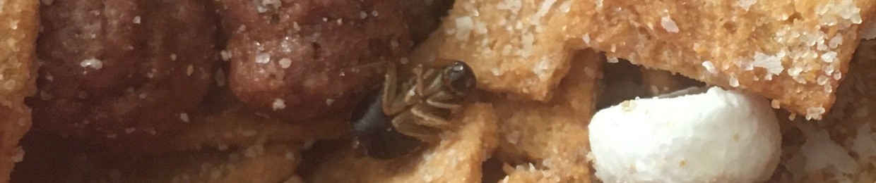 RoachCereal