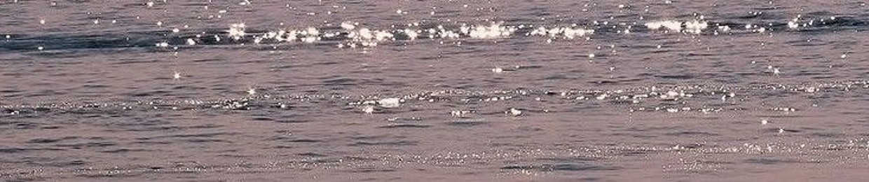 Владимир Стоев