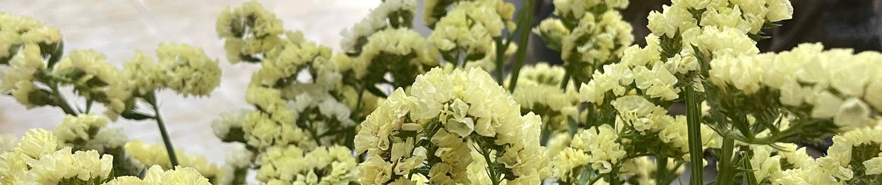 Vượng Cao nguyễn