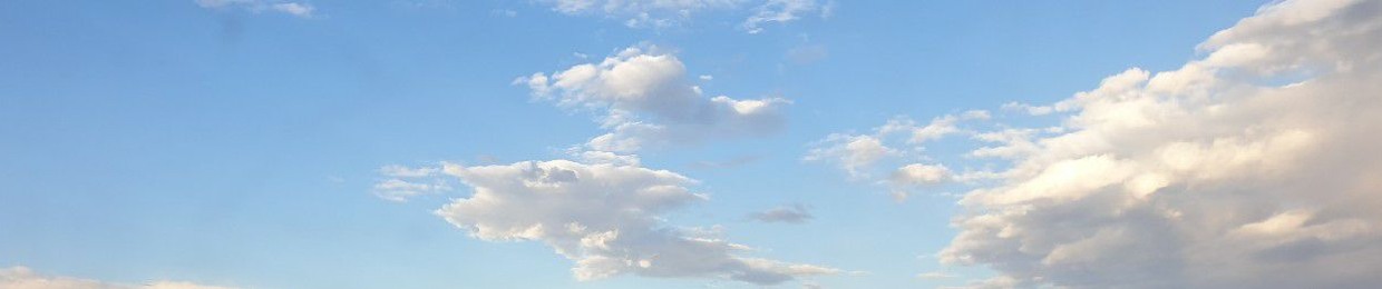 Amirhossein Amirhossein