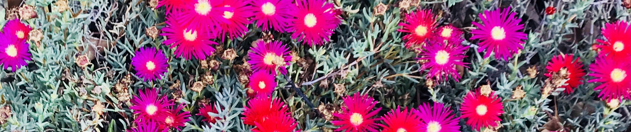 MarkyBoi$iga KamatayanGang