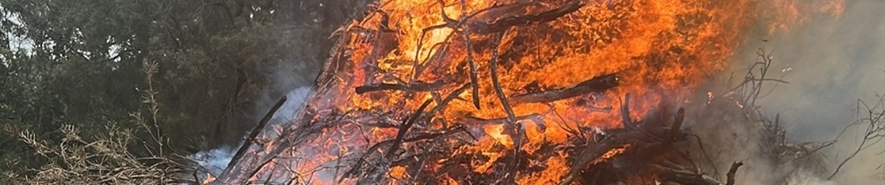 🤠countryteddy🌻