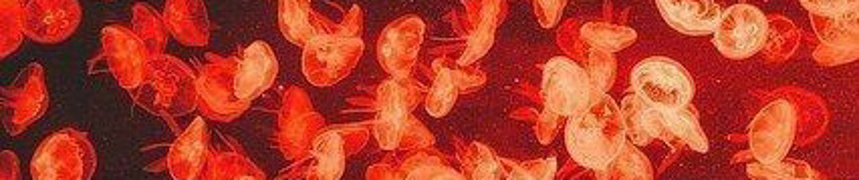 psilocin