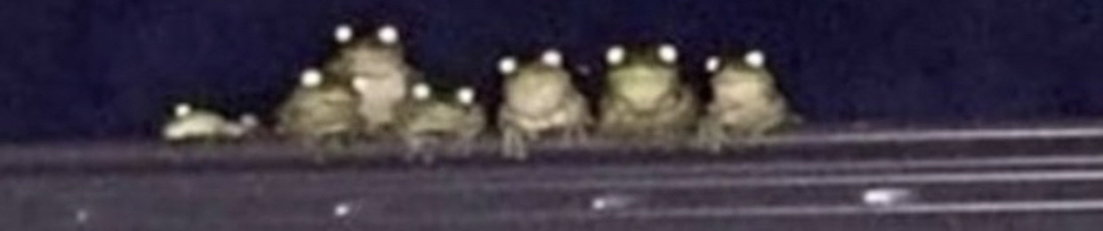 stinkcl0wn