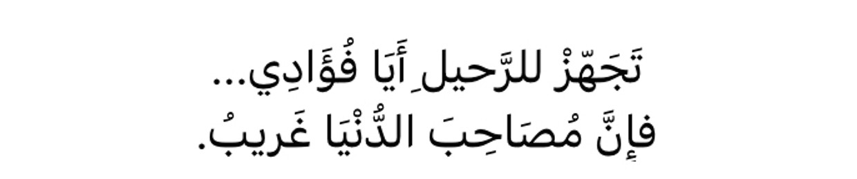 Ahmed Hany Elngar