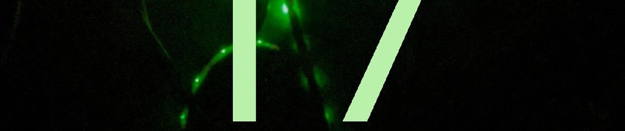 SXTA