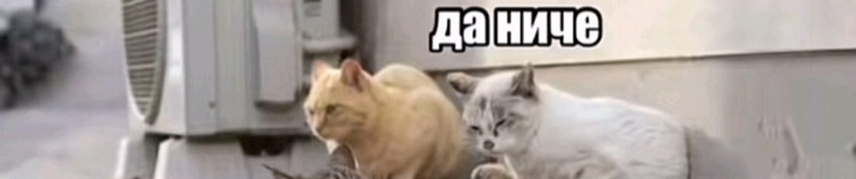 александр951