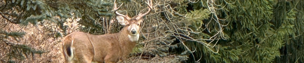 the8spot