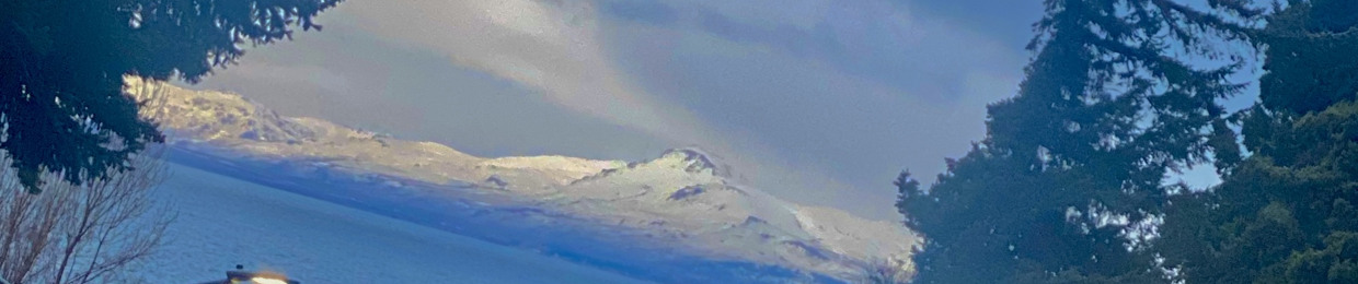 parça