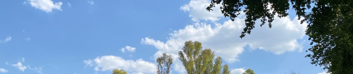 saansebas