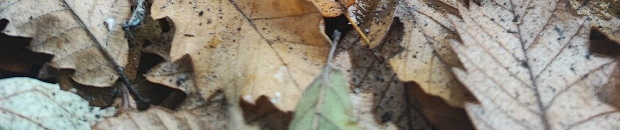 BaloutBar