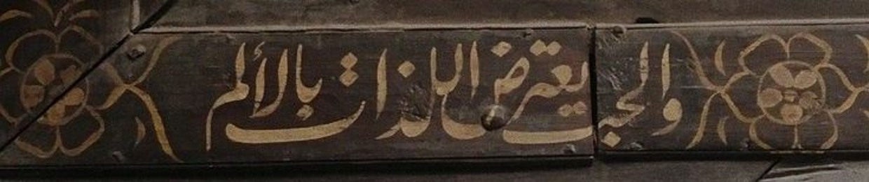 مريم حسن