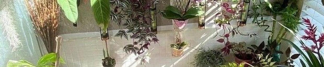 luv  ݁˖ ݁₊˚.⋆⁺₊