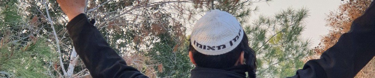 נתן שמחה