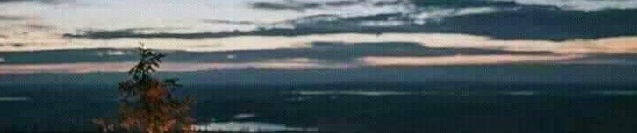 تبارگ الشهاوي