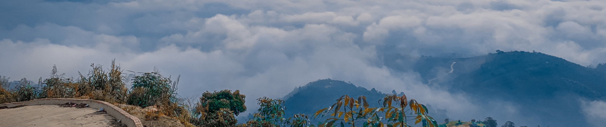 Nguyễn Ngọc Thảo Chi