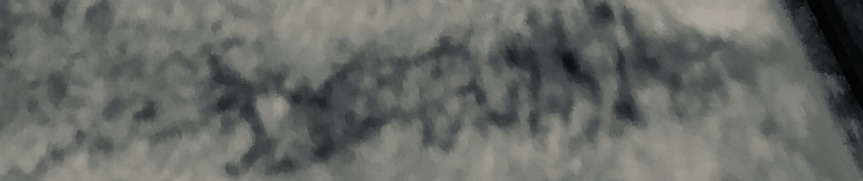 Thαɱιɳσ