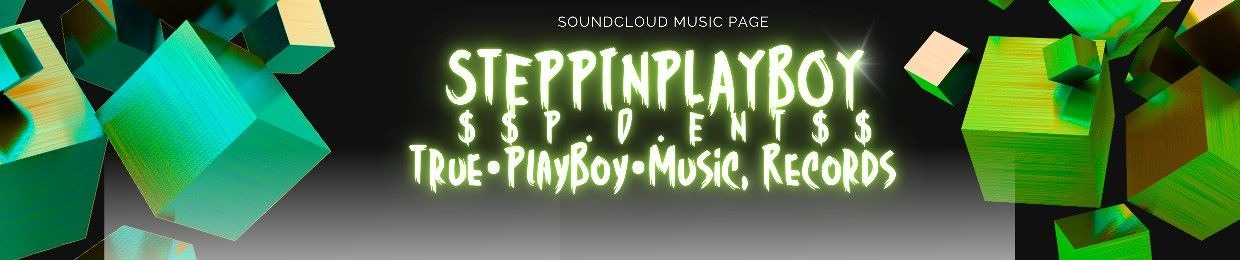 SteppinPlayBoy