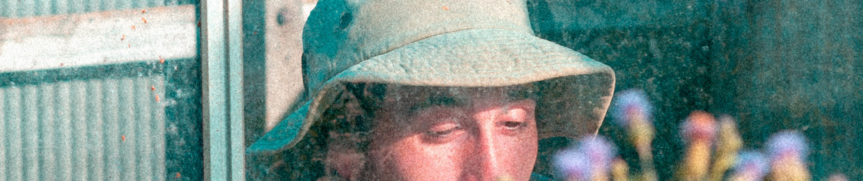 sam wally